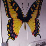 Lavatory Butterfly
